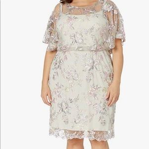 Brianna Women's Blouson Dress